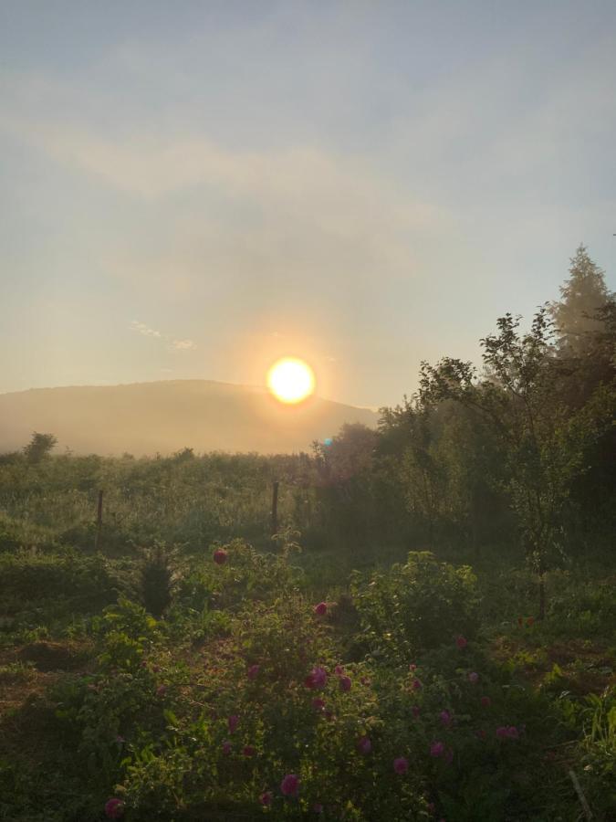 Peace Valley - Dolina Mira Janja Gora Exterior photo